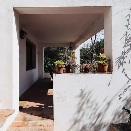 100 Meters From The Beach Of Fresh And Comfortable -tamariu Perica Apartment Tamariu